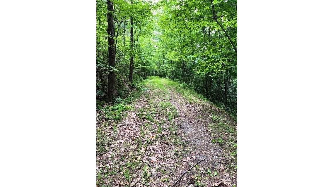 Lot 46 Lake Adger Pkwy  