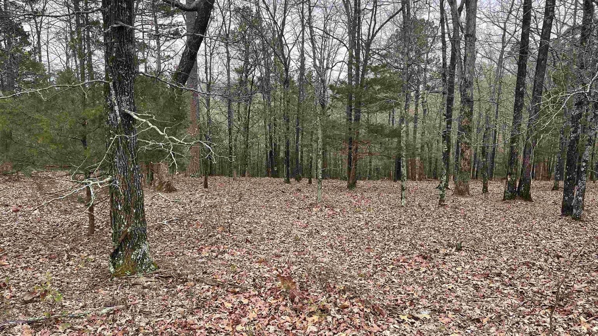 Lot 4 Diamond Blf Rd  