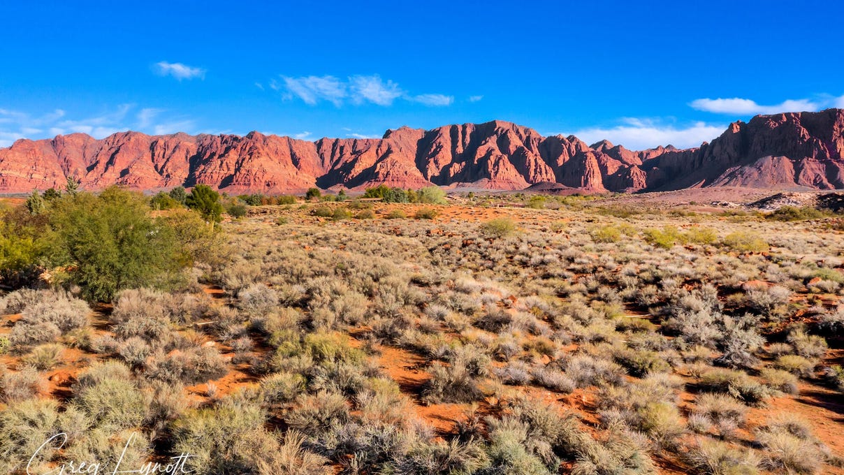 1312 Willow Springs Way