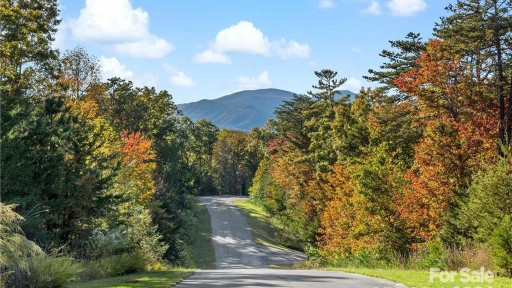 Lot 49 Bald Eagle Ln