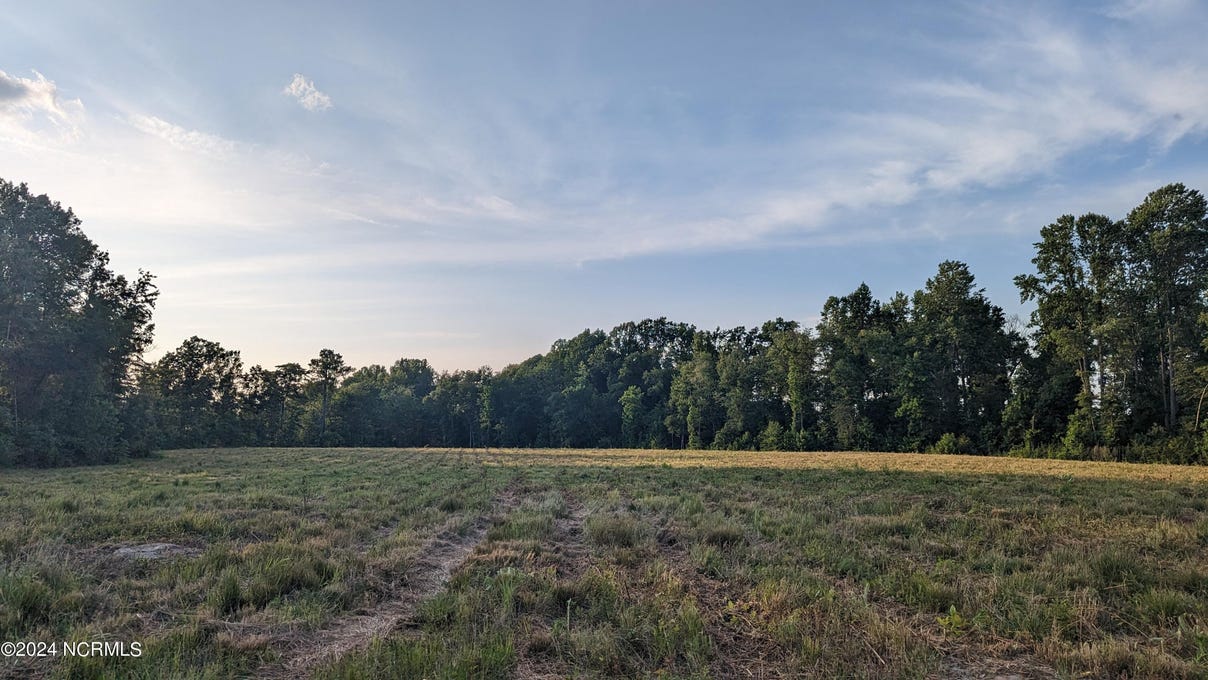1590 Nick Coley Rd  