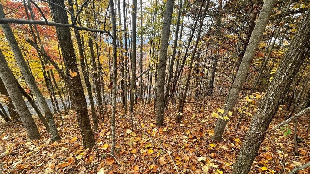 Lot 24B Grandview Dr  