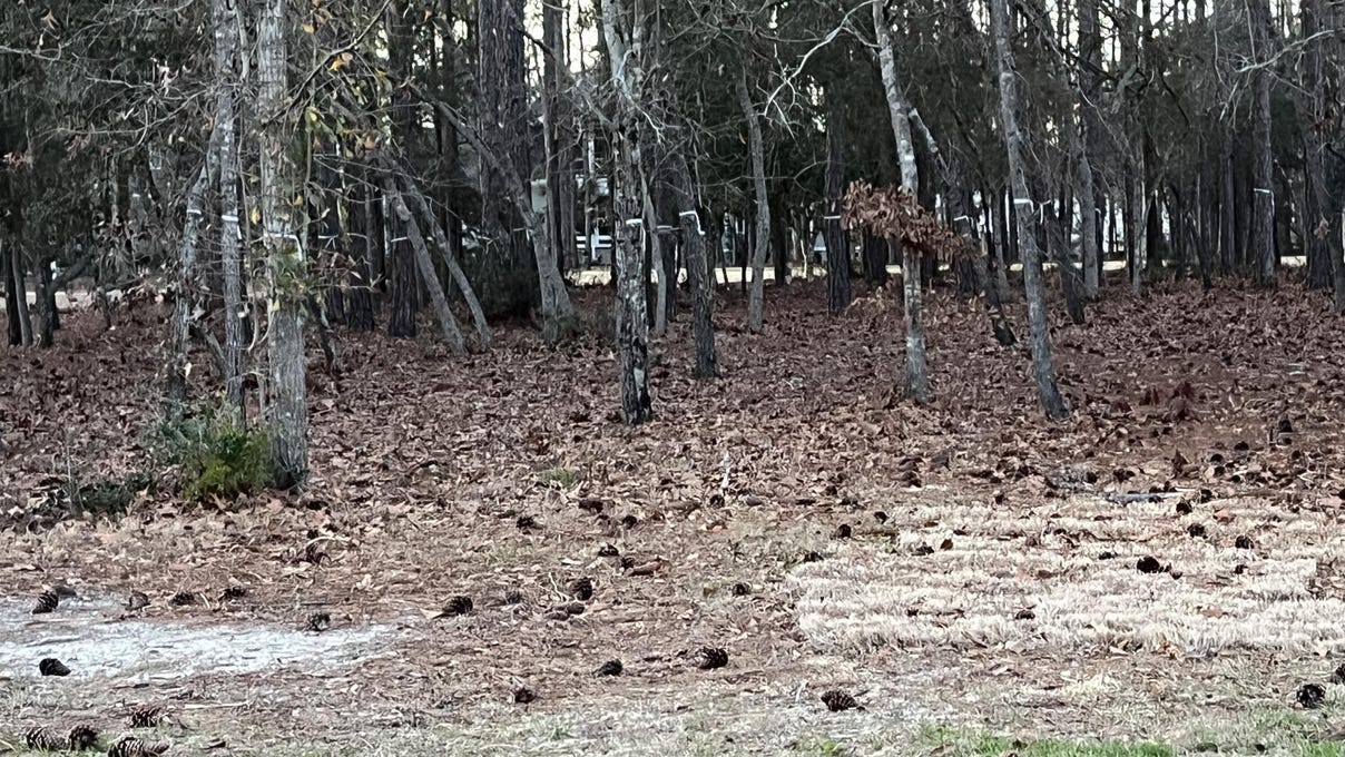 3588 East Legacy Park Dr  