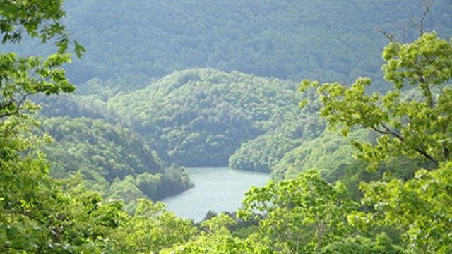 Lot 29 Fontana Lake Way  