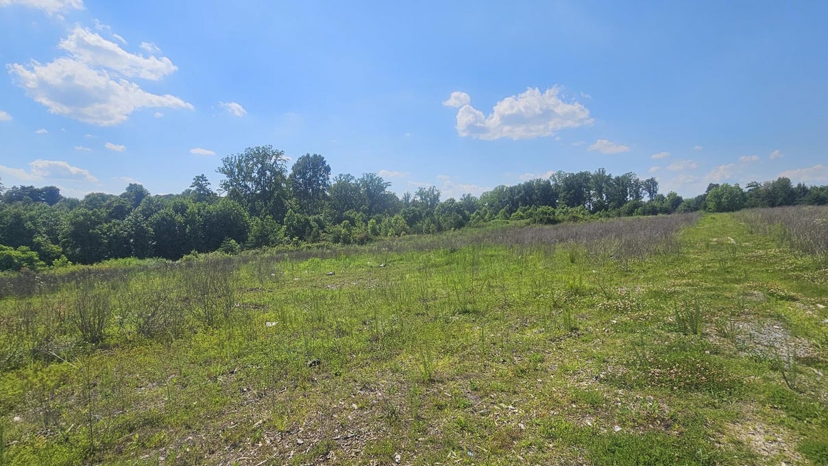 4561 Lot 3 White Rock Rd  