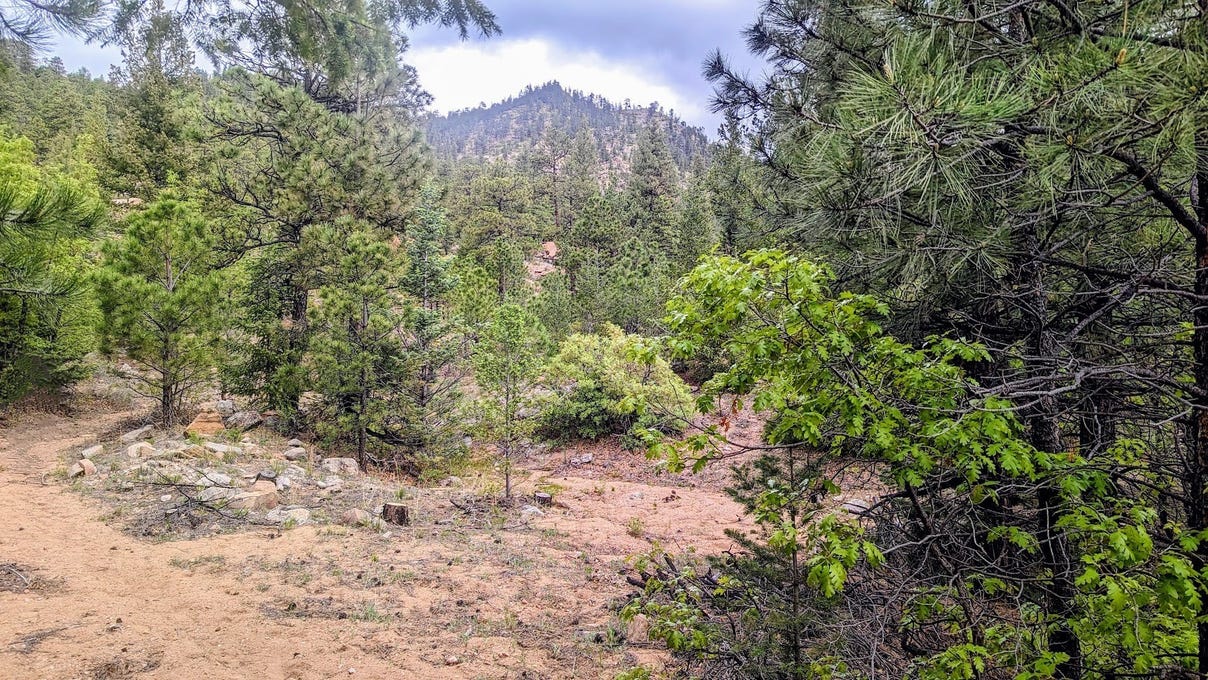 46 County Road A015, Mora, NM 87732 Land for Sale