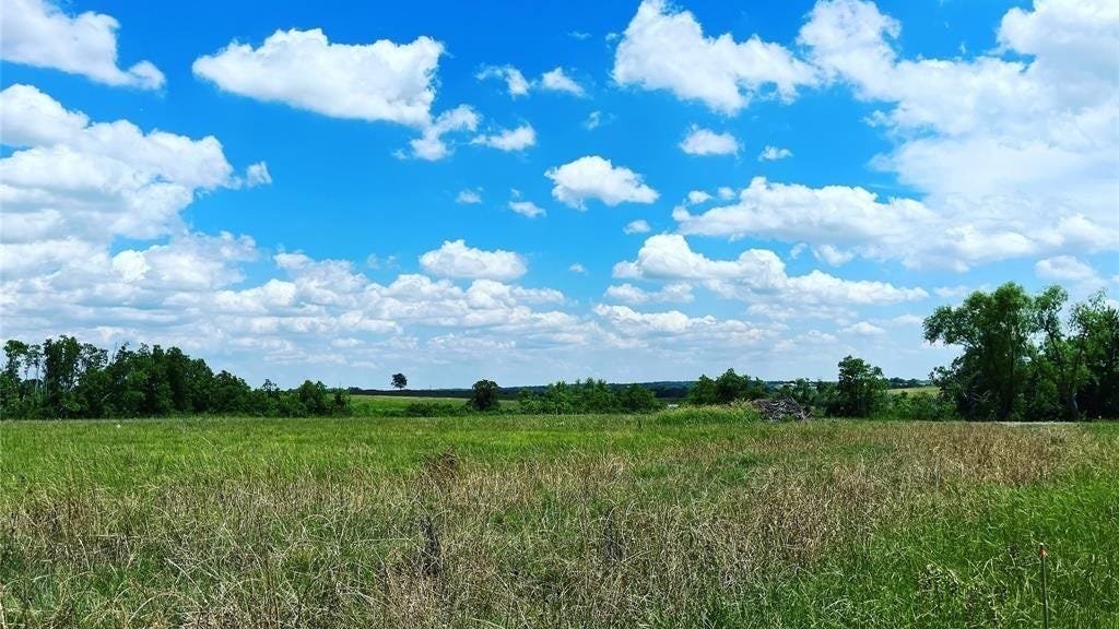 TBD 5 Pacen Place, Chappell Hill, TX 77426 Land for Sale realestate