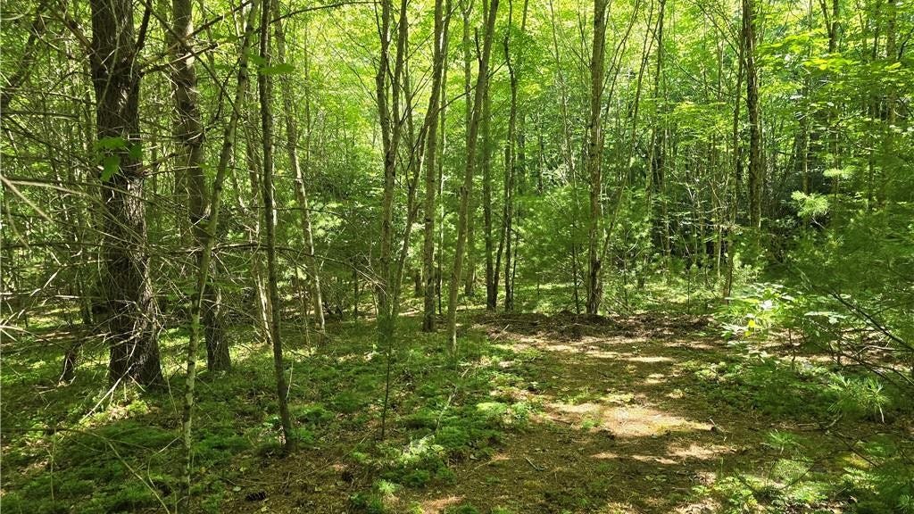 Lot 50 Deer Spring Ln/White Tail Trl  