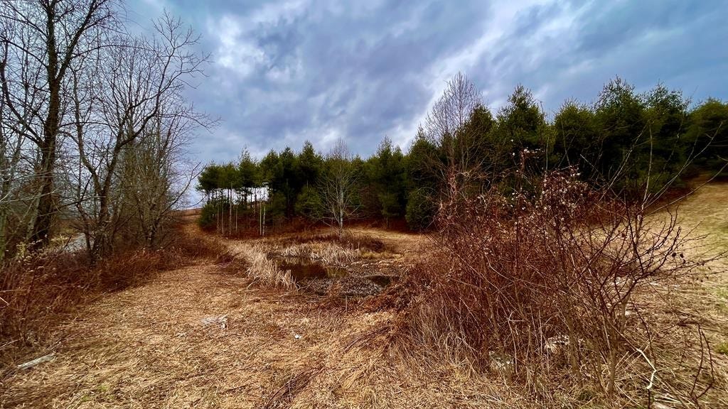 8 61 Ac SW Shelor Rd  