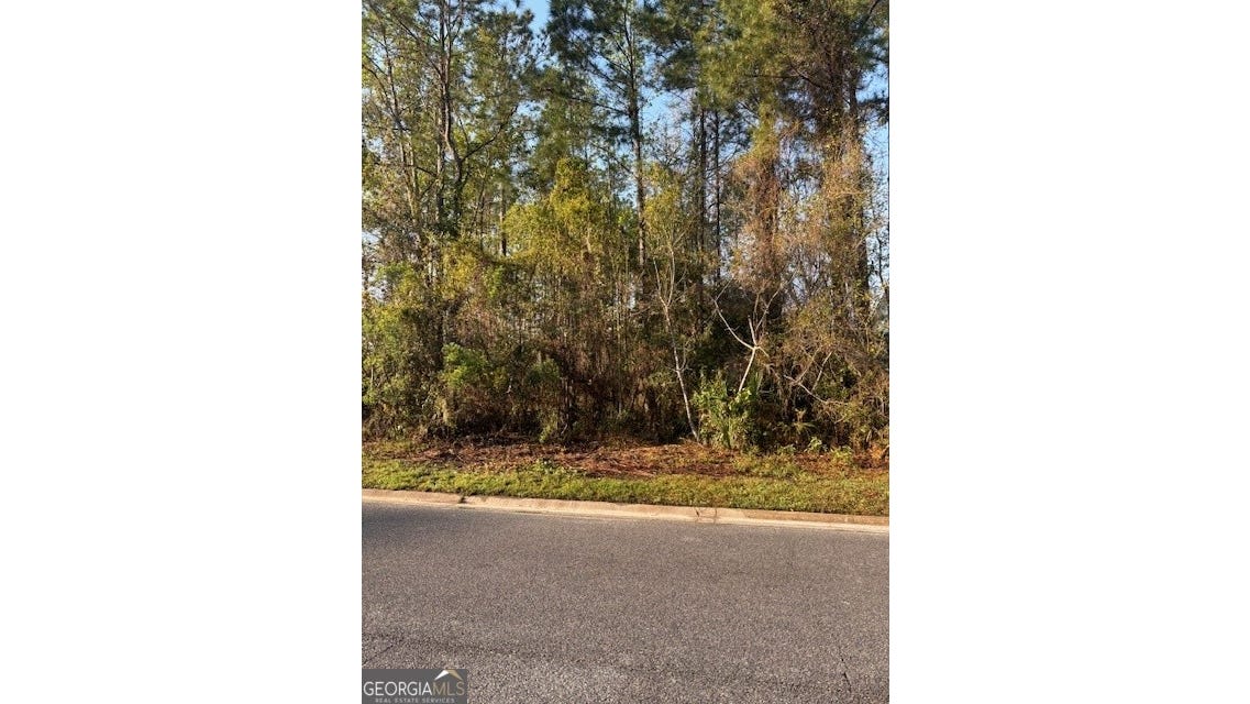 V/L 61 Laurel Marsh S/D  