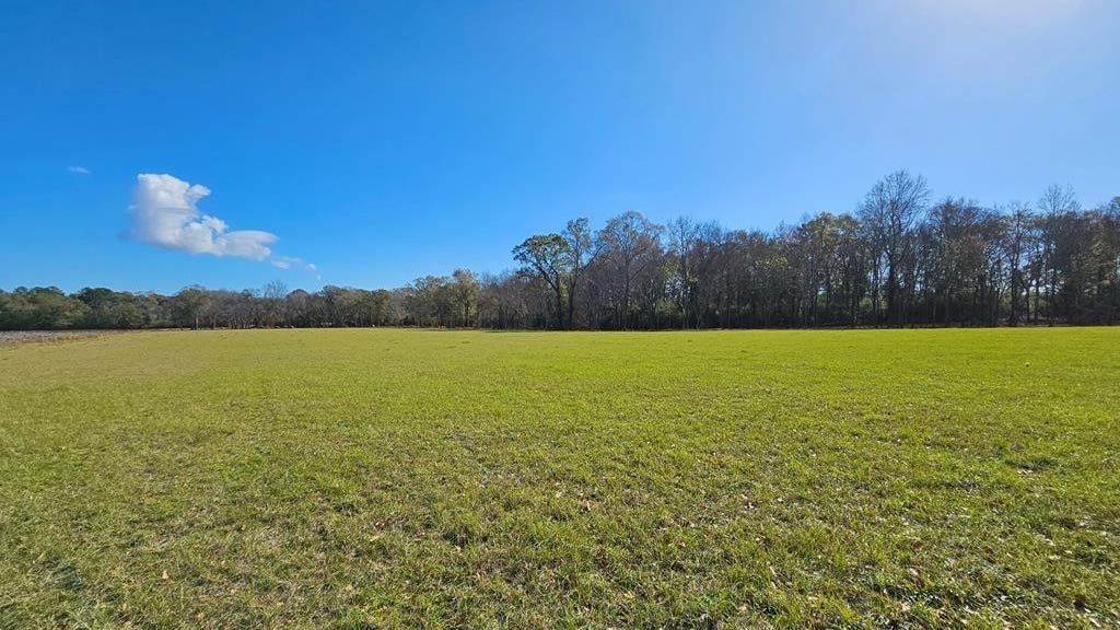 6 11 ACRES CEDAR Spgs  