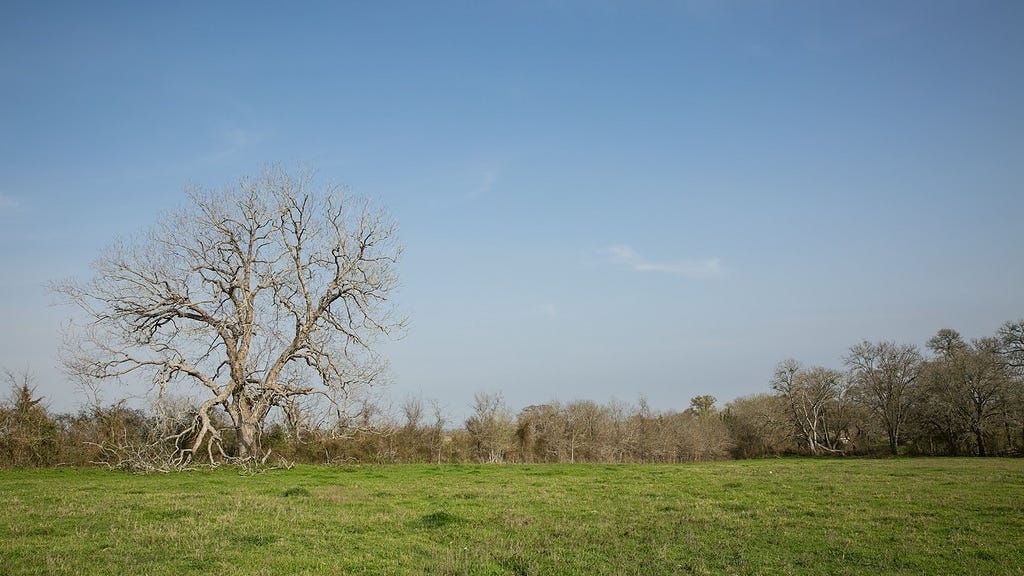 Balke Road, Bellville, TX 77418 Land for Sale
