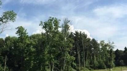 1876 Bent Creek Dr N  