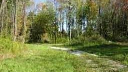 15295 Overture Dr  