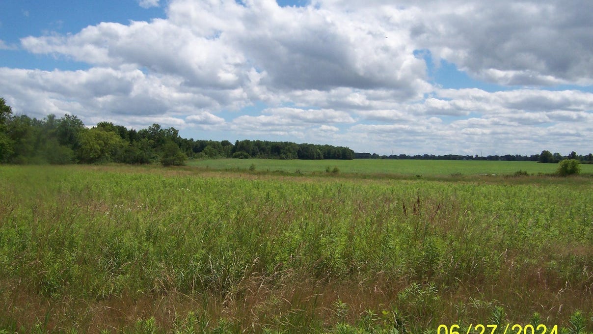 00 Lambs Rd  