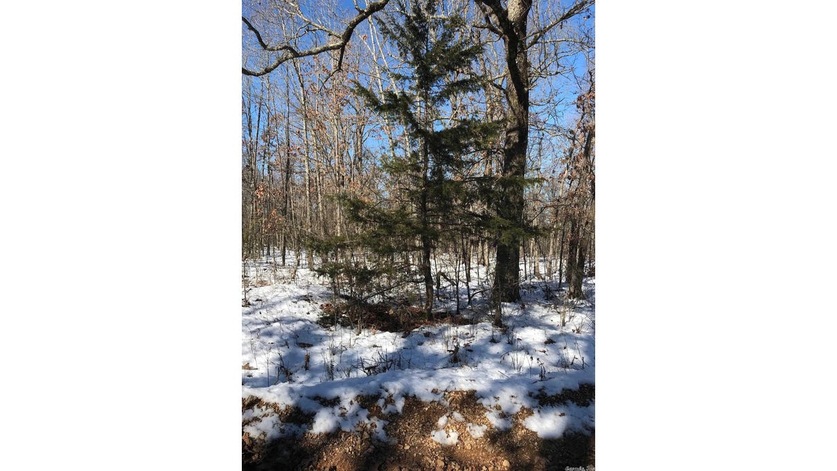 TBD Young Road, Glencoe, AR 72539 Land for Sale