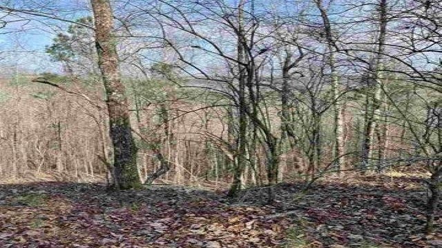 5830-3 S SHADES Crst Rd  