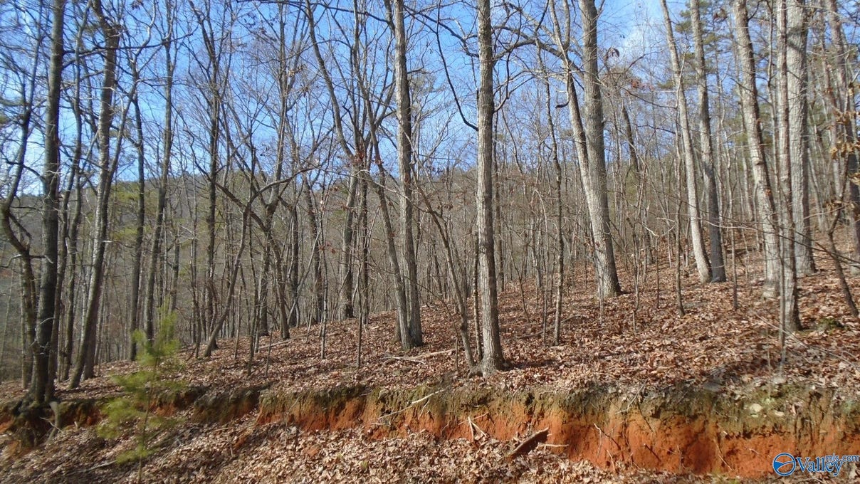 19 3/ Owens Switch Rd  