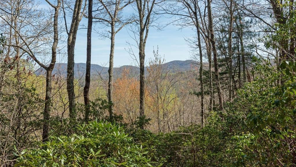 Lot 4 Trillium Rdg Rd  