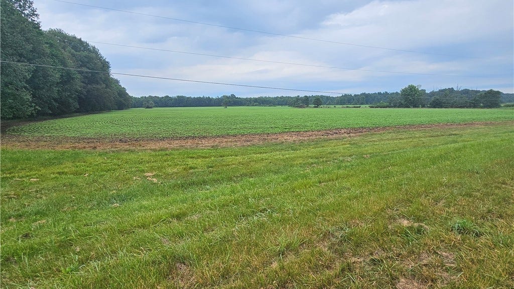 Rte 193  