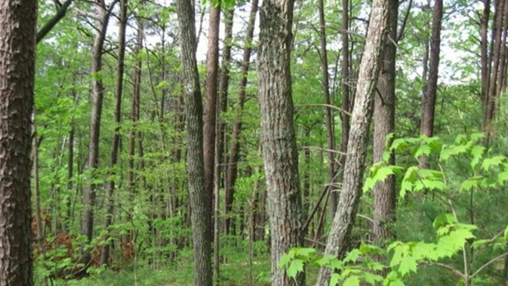 0 Off Holly Creek Cool Spr Rd