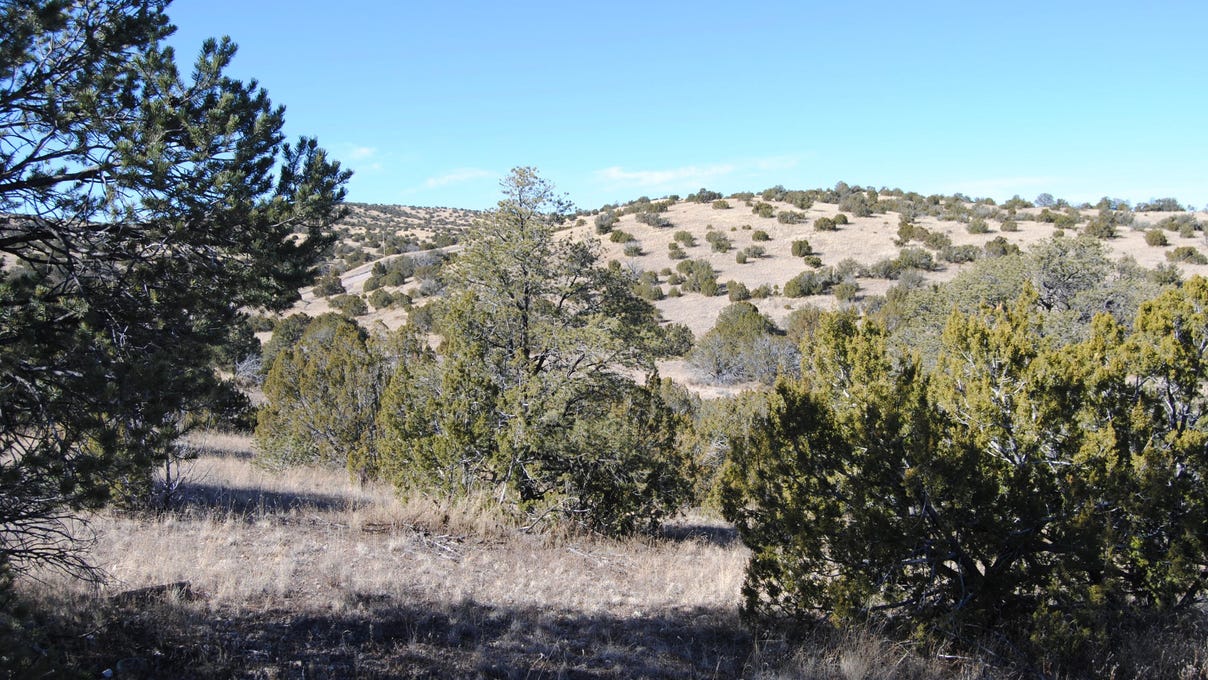 75 Pinon Springs Road, Magdalena, NM 87825 Land for Sale realestate