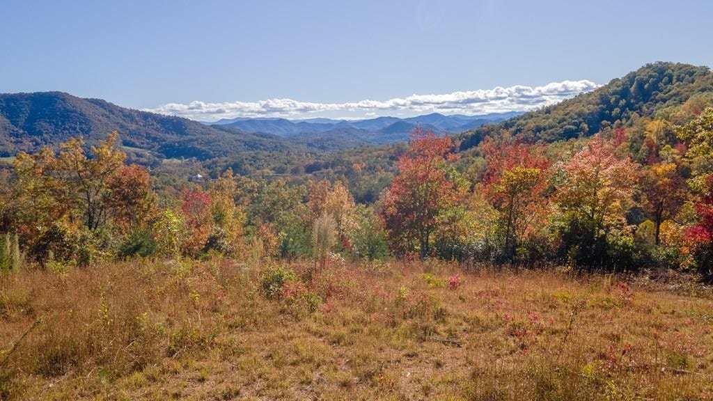 2500 Leatherman Gap Rd  