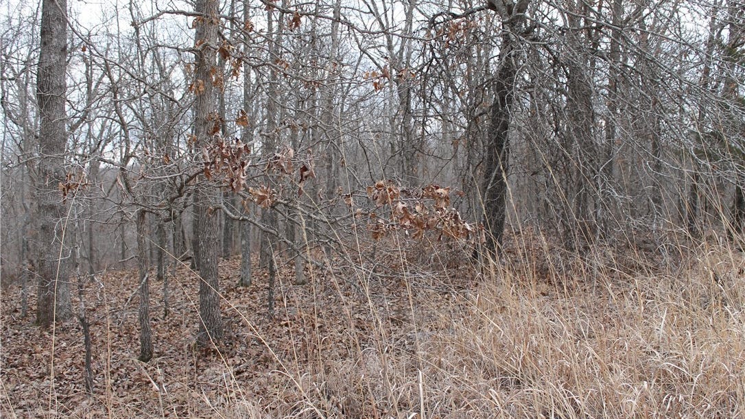 Mulholland Road, Apt 2200, Edwards, MO 65326 Land for Sale