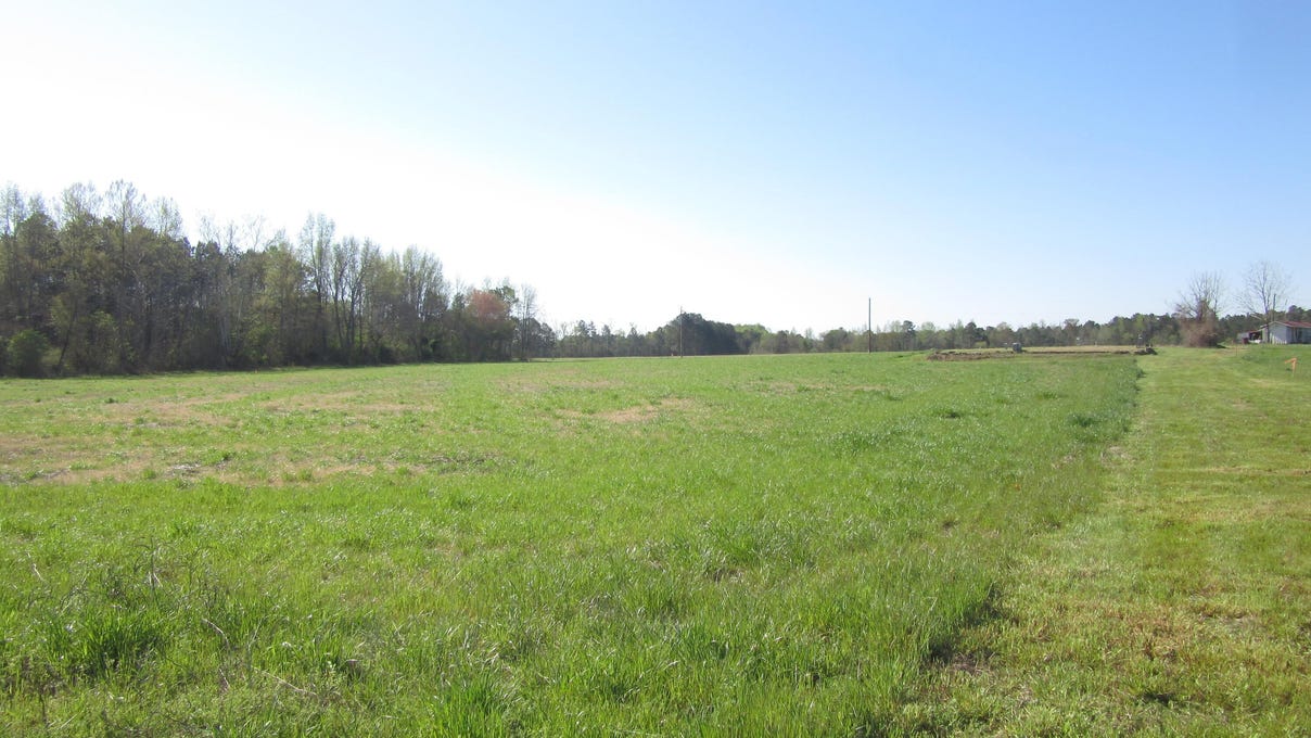 Lot 5 Nc 42 Hwy