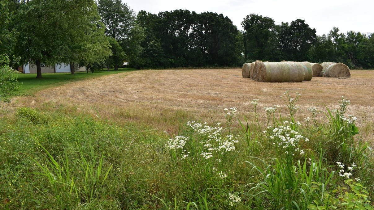 Lot 7 Brandermill Rd  