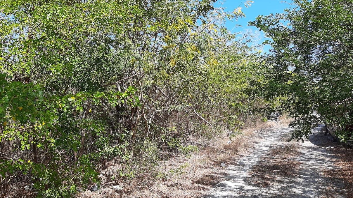 Unnamed Road, Exumas, Exuma Land for Sale