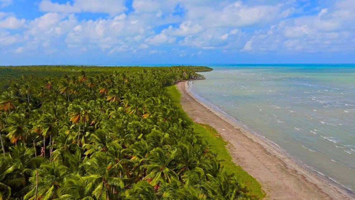 XXP4+6V3, Calle San Antonio, Miches 24000, Dominican Republic, Miches