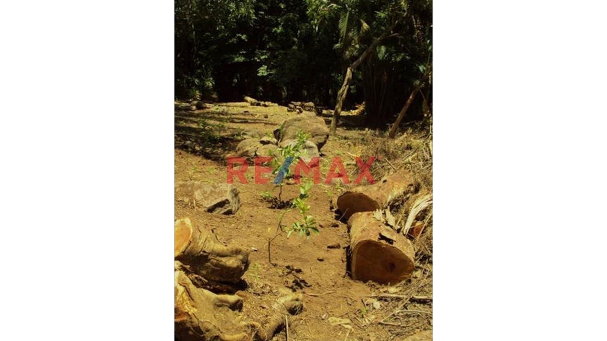 Escuintla, Escuintla, Address available on request Land for Sale