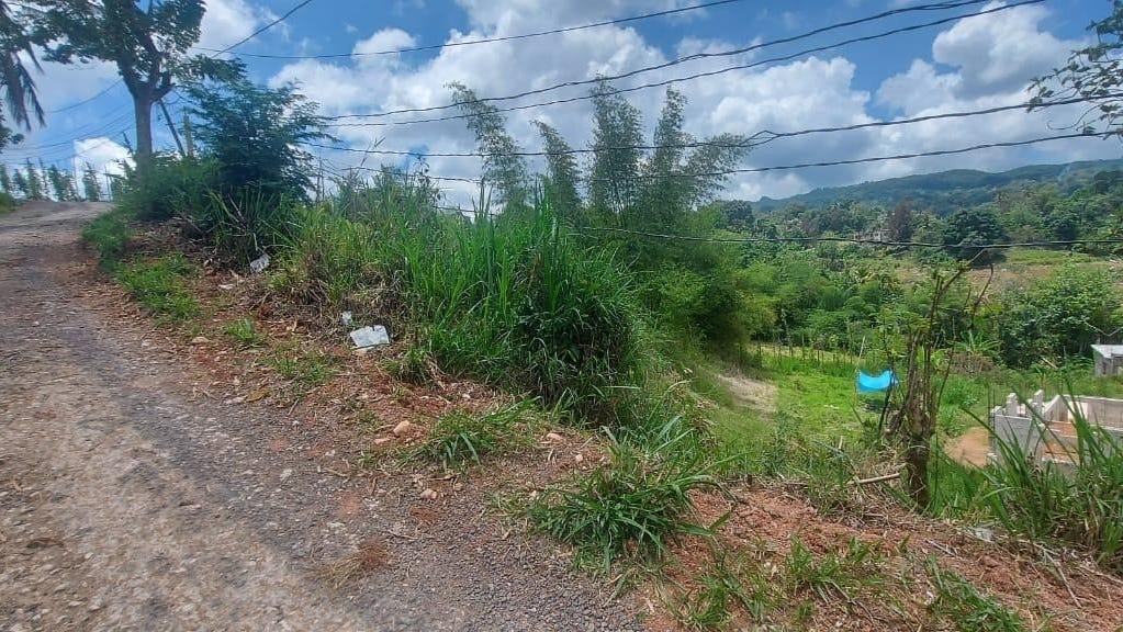 Frankfield, Clarendon, Address available on request Land for Sale