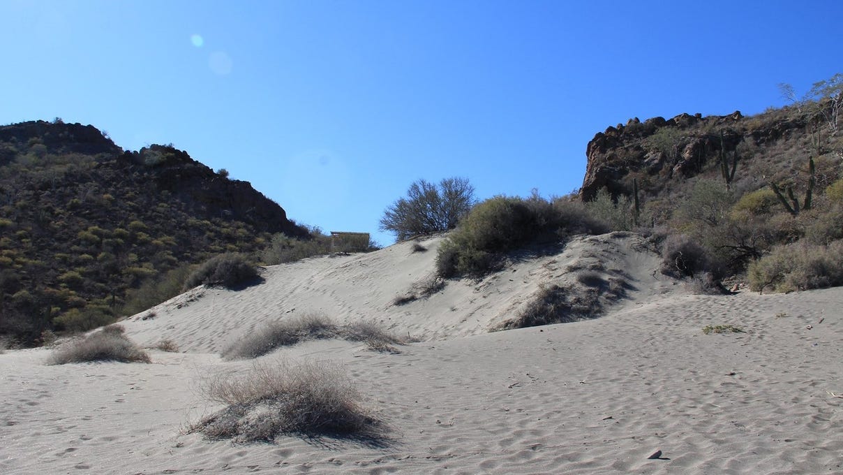 Ensenada Blanca, Ensenada Blanca, Baja California Sur Land for Sale