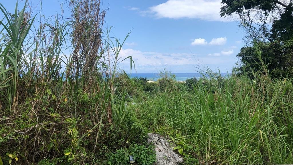 BOUNDBROOK HEIGHT, Port Antonio, Portland Parish Land for Sale