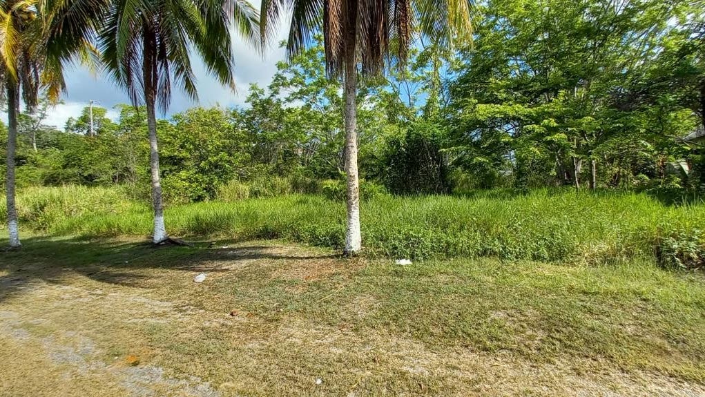 UPTON ROAD, Ocho Rios, St. Ann Parish Land for Sale