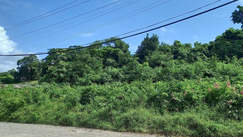 ORANGE VALLEY, ST. JAMES, Little River, St. James Parish Land