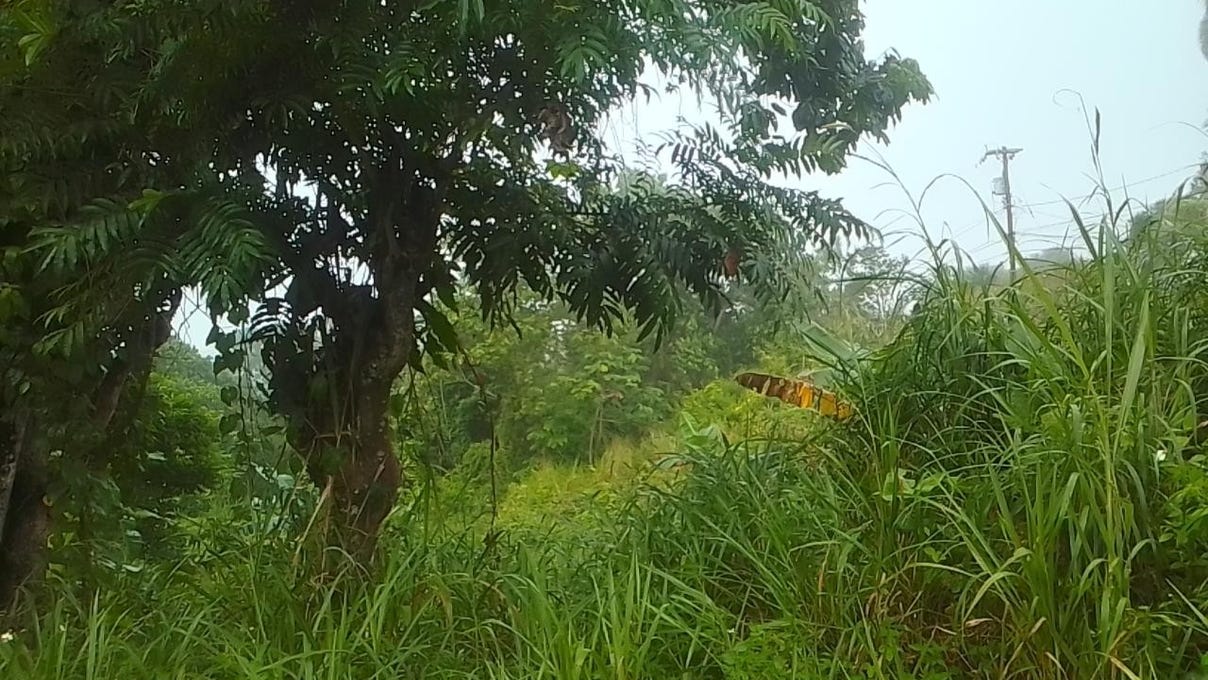 ROCK HALL, ST ANDREW, Kingston 19, St. Andrew Parish Land for Sale