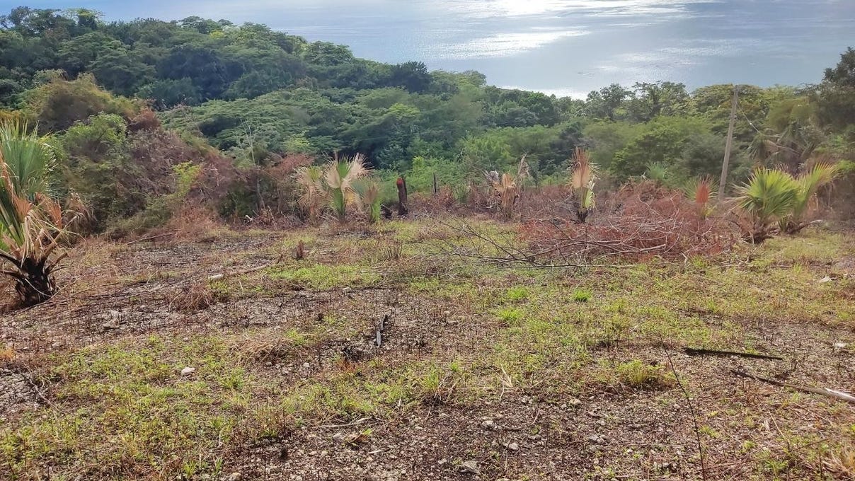 CULLODEN BY THE SEA, White House WD, Westmoreland Parish Land for Sale