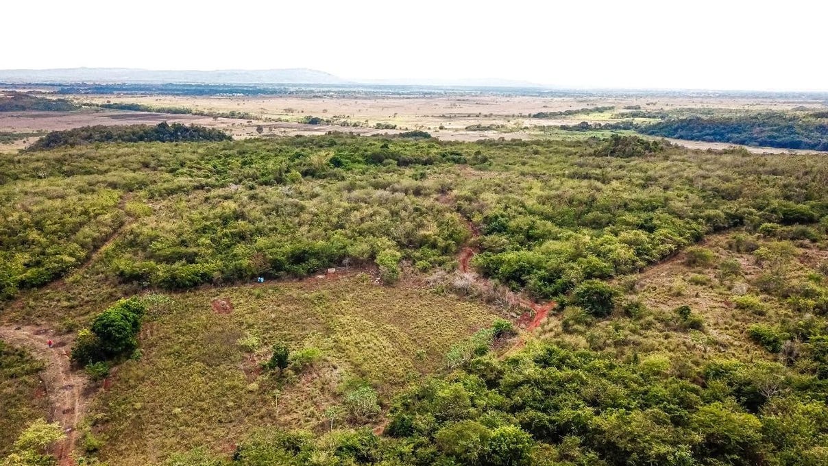BAMMY HALL KITSON TOWN ST, Guanaboa Vale, Saint Catherine Parish Land