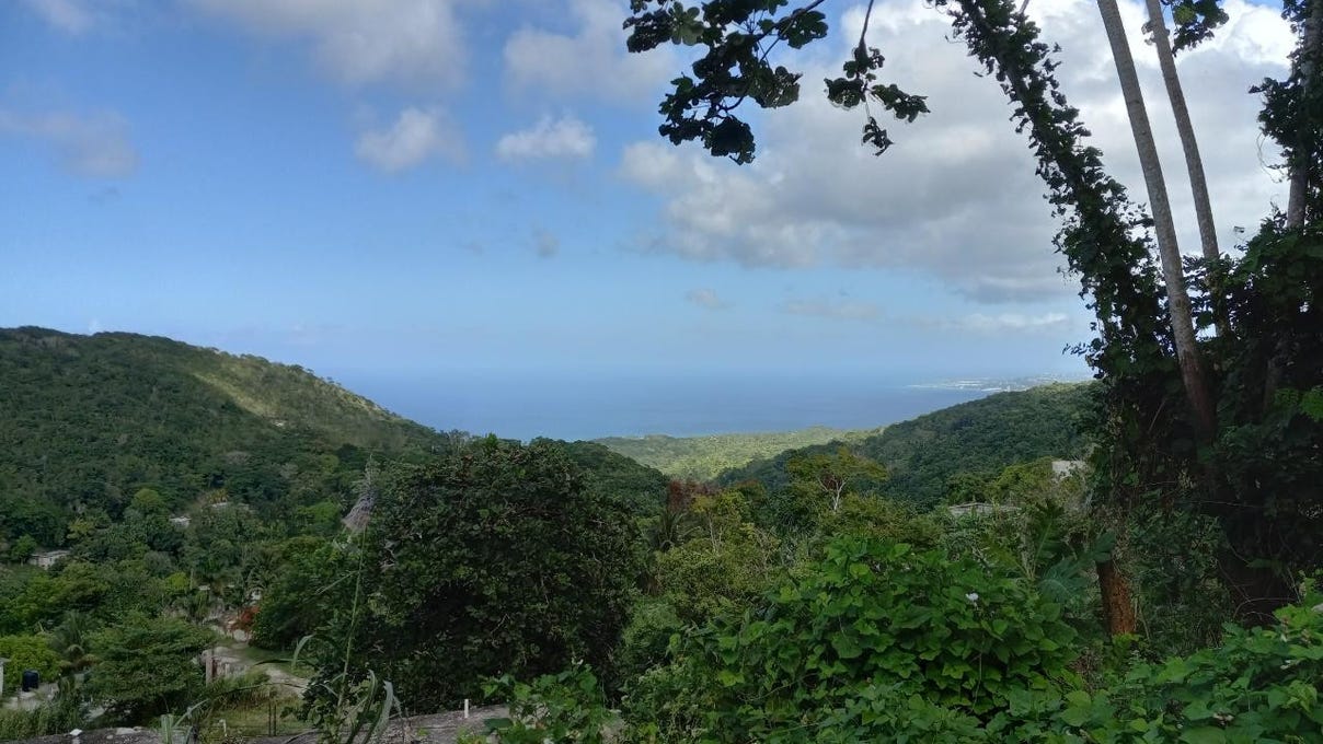 BAMBOO, HANOVER., Hopewell, Manchester Parish Land for Sale