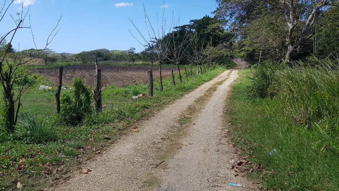 GREEN ISLAND, Green Island, Hanover Parish Land for Sale