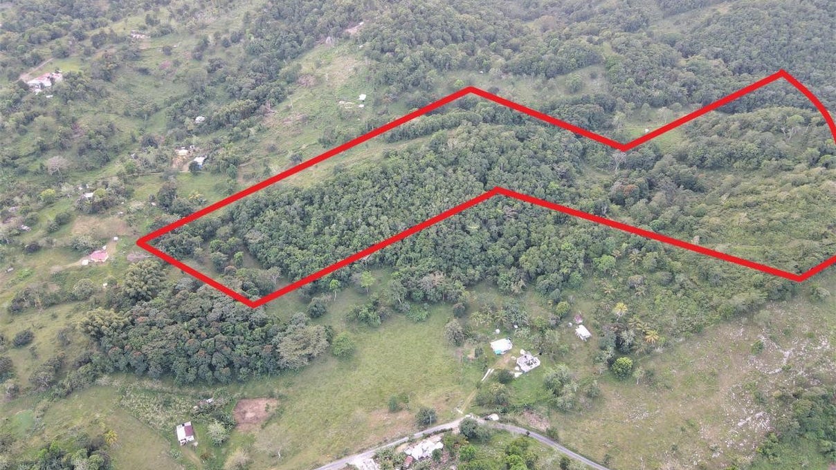 HOPEWELL WESTMORELAND, Darliston, Westmoreland Parish Land for Sale