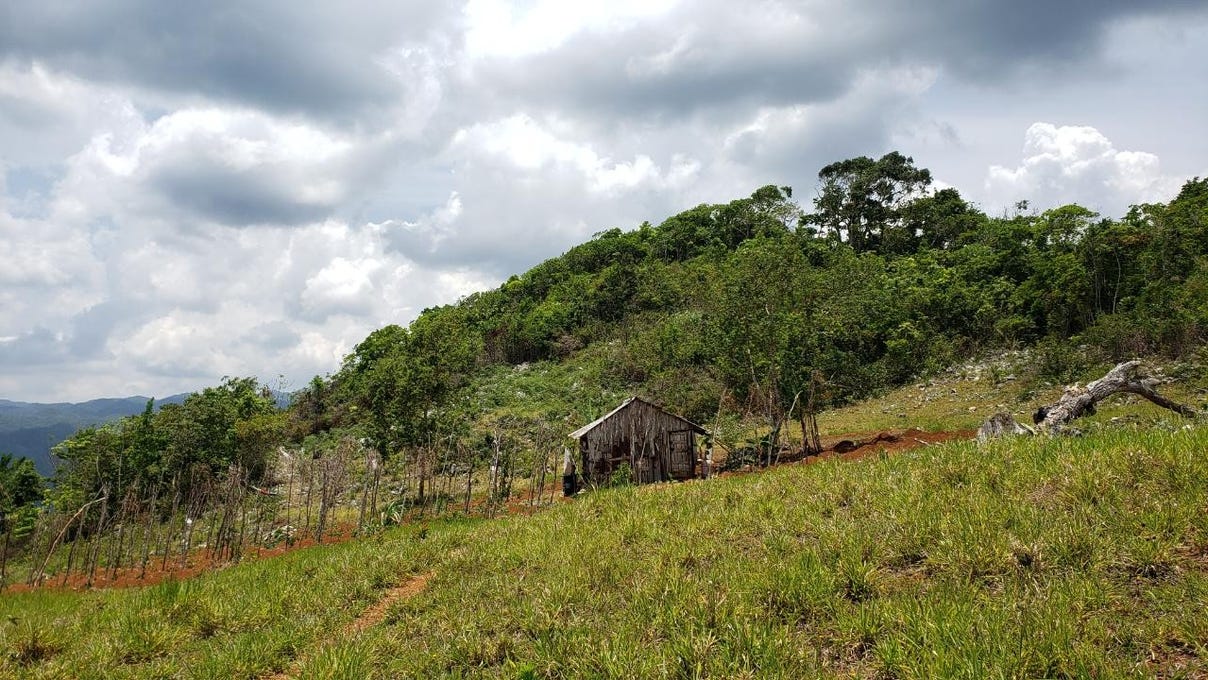 MOUNT WADDY, Moneague, St. Ann Parish Land for Sale