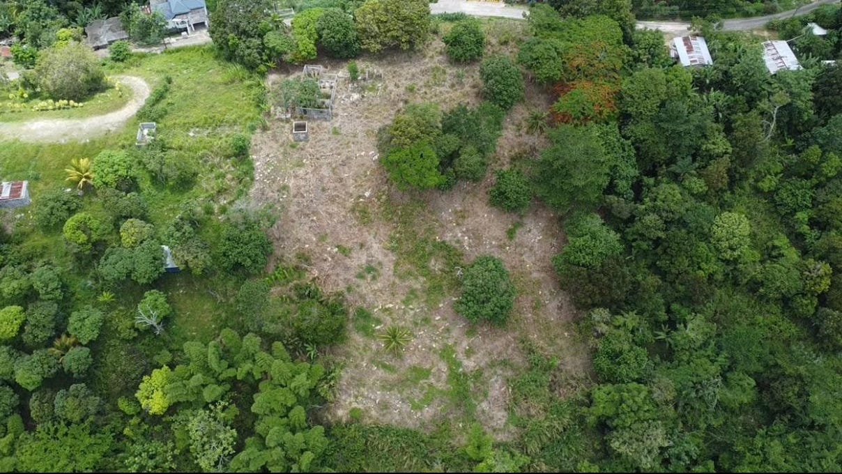 ALBERT TOWN, Albert Town, Trelawny Parish Land for Sale