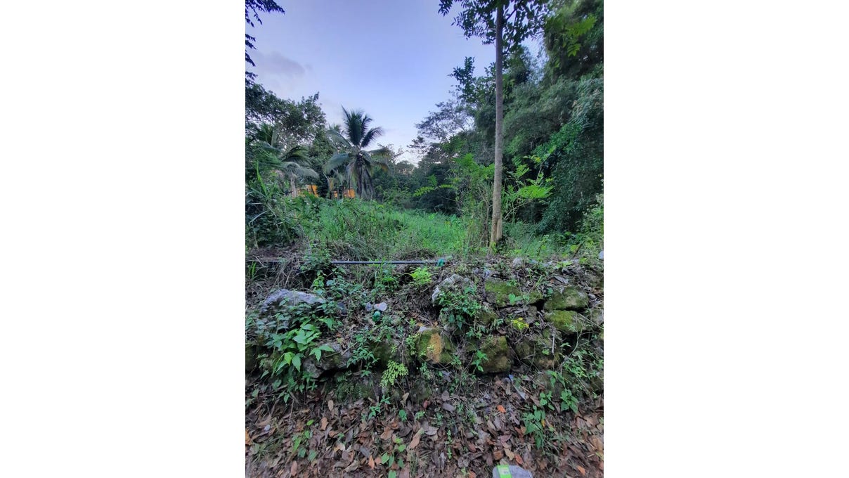 COPSE, Ramble, Hanover Parish Land for Sale