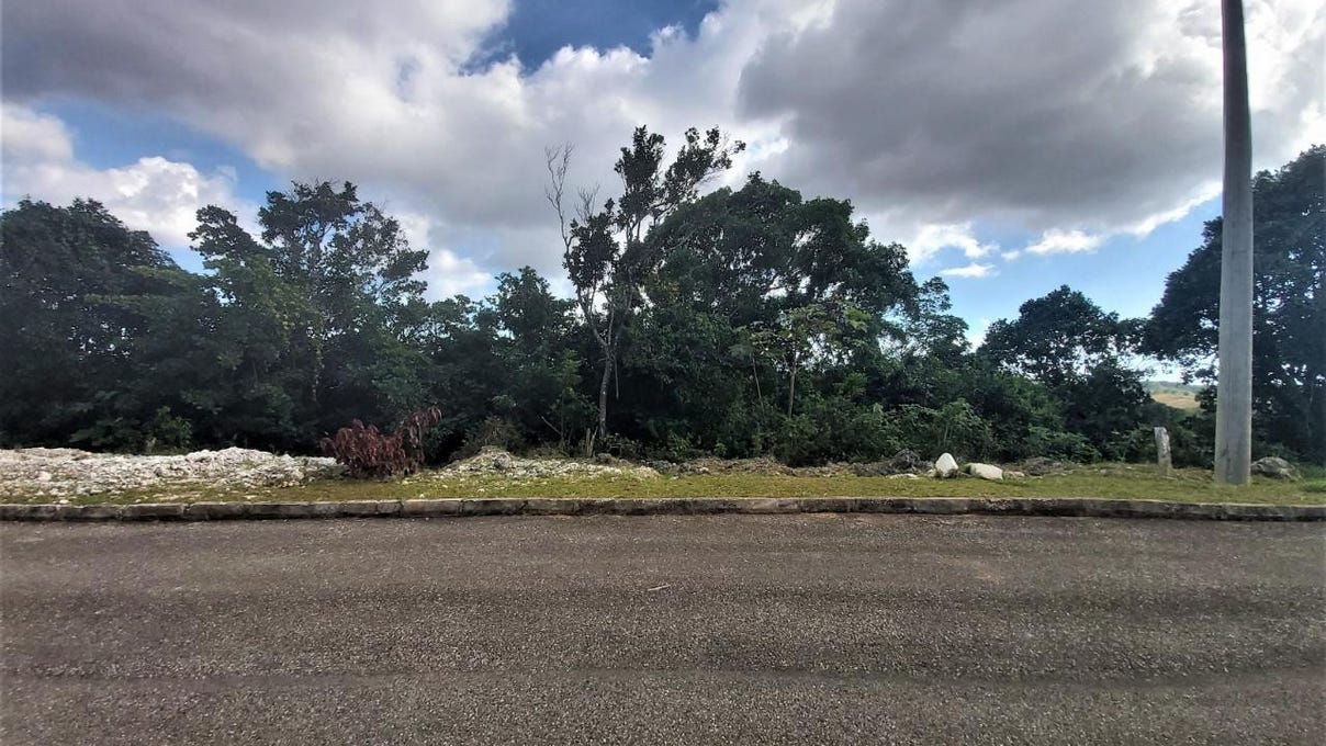 MOORLAND MANOR, Mandeville, Manchester Parish Land for Sale