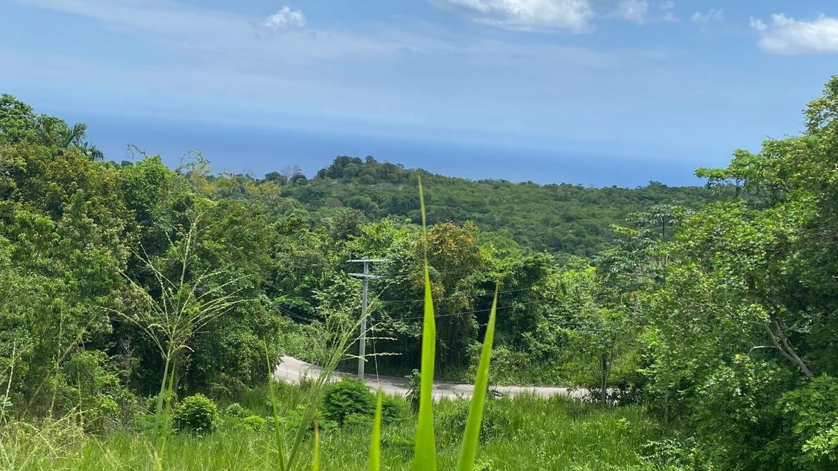 BROWN'S TOWN, MINARD PEN, Browns Town, Manchester Parish Land for Sale