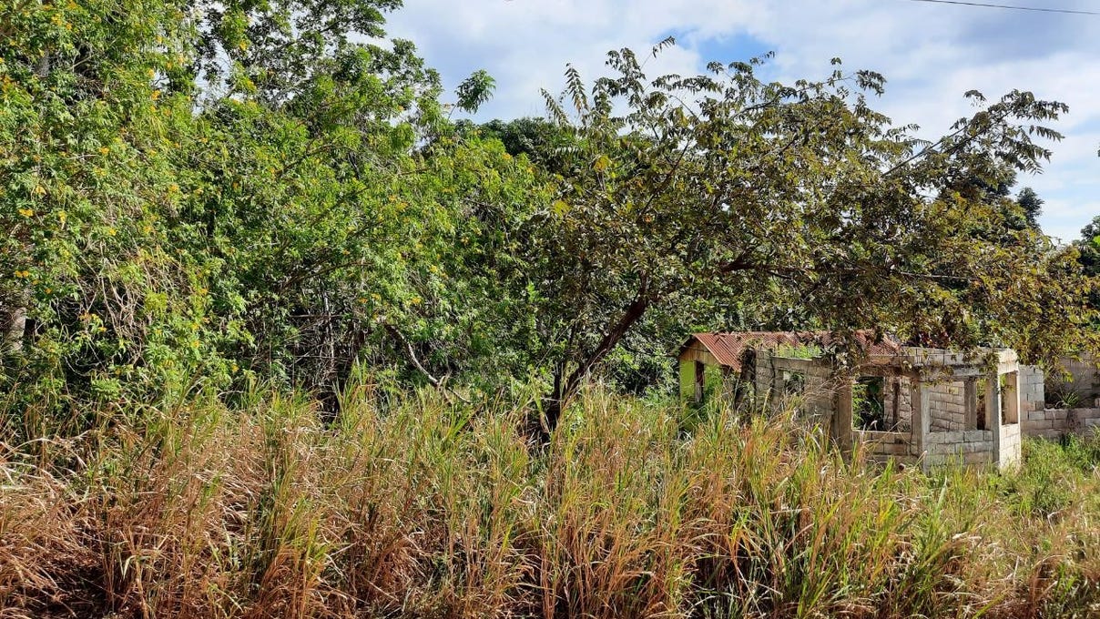 COCOA WALK, Cross Keys, Manchester Parish ที่ดิน สำหรับขายท